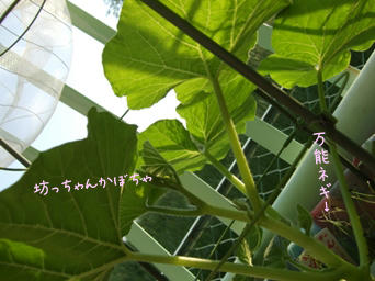 d90b2653.jpg