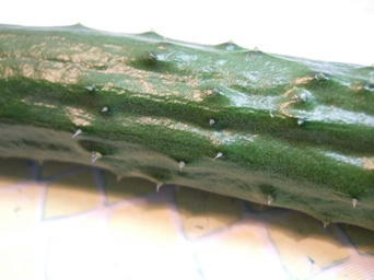 c3906d13.jpg