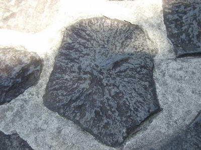 DSCF5346.JPG