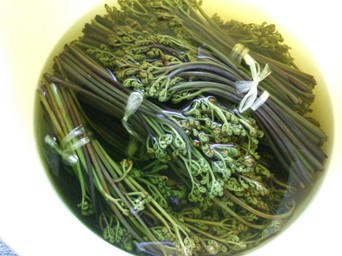 DSCF6843.JPG
