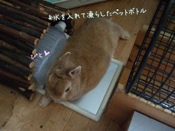 614825a7.jpeg