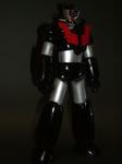 CIMG1194-r.jpg