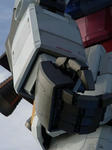 RIMG0036a.jpg