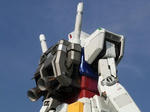 RIMG0045a.jpg