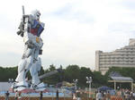 RIMG0066a.jpg