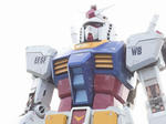 RIMG0087a.jpg