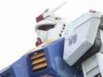 RIMG0092a.jpg