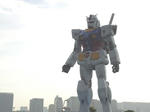 RIMG0100a.jpg