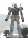RIMG0108a.jpg
