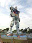 RIMG0123a.jpg