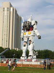 RIMG0137a.jpg