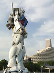 RIMG0147a.jpg