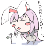 reisen2.gif