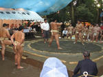 IMG_0408-mini.JPG