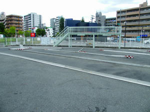 DSCF0442.jpg