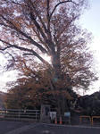 20121128-1-3.jpg
