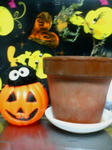 20091012175632.jpg