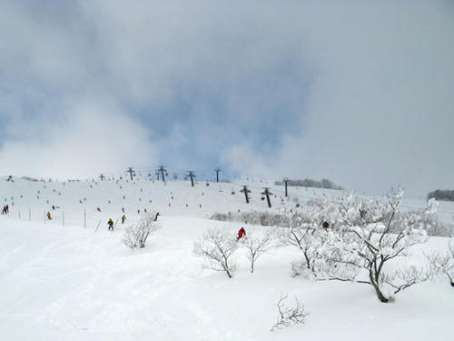 080308_happo2.jpg