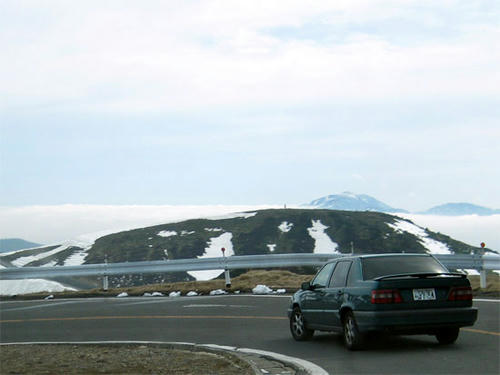 080512_shibur7.jpg