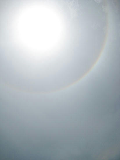 080528_shibu1.jpg
