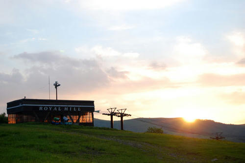 090625_royh20.jpg