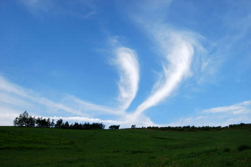 virus_cloud.jpg