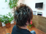 070347d5.JPG