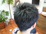 3c54fff4.JPG