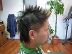 5563a566.JPG