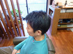 P10104590005.jpg