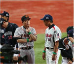 wbc3.jpg