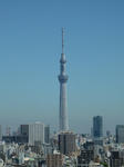 s-P1030030.jpg