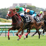 rtc12093015130004-p4.jpg