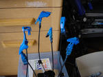 DSC00507.JPG