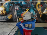 DSC00514.JPG