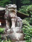 ujikami1.jpg