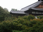 tofukuji1.jpg