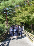 kinkaku2.jpg