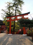 shimogamo1.jpg
