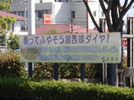 koseisen1.jpg