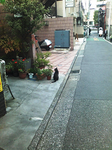 わかば前にて猫を撮る