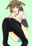neko.jpg