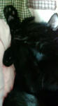 20080319140415.jpg