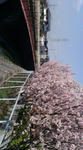 20080324143351.jpg