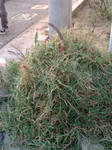 20080910173509.jpg