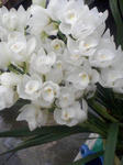 046731e5.jpg