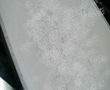 水張り