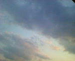 NEC_0033.JPG