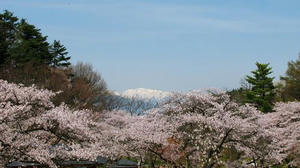 pinkandwhite_1.jpg