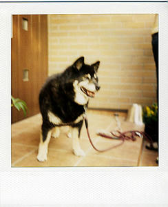 2008052501.jpg